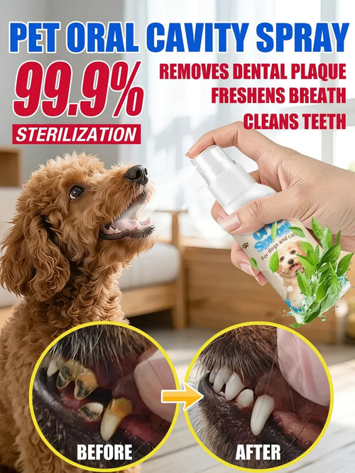Désodorisant rapide et éliminateur de taches de tartre, nettoyage doux sans brosse pour chiens et chats, haleine fraîche instantanée, spray pour soins bucco-dentaires des animaux de compagnie