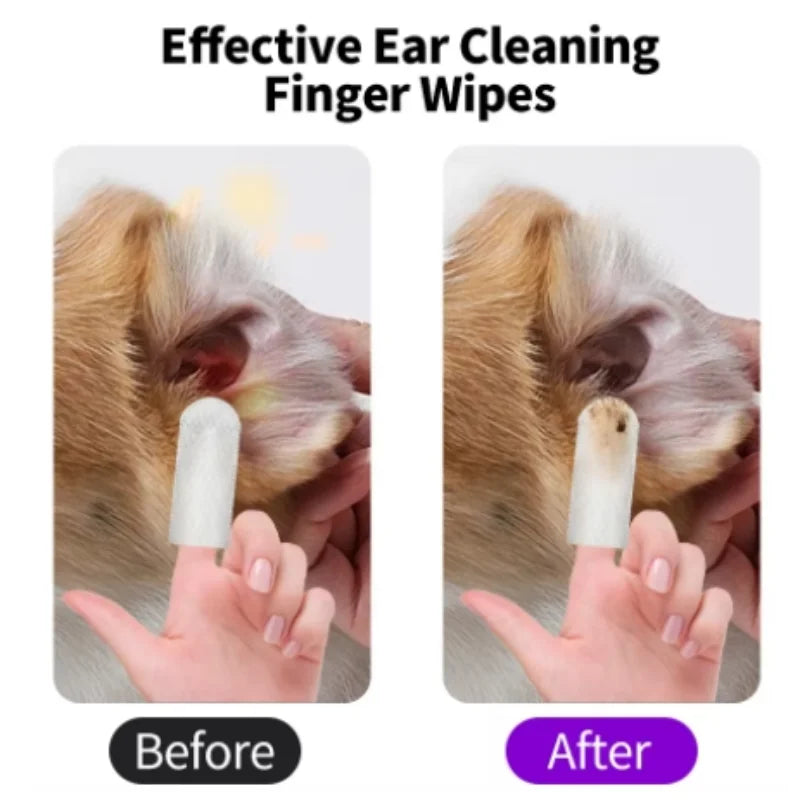 Lingettes nettoyantes pour oreilles d'animaux à l'aloe vera, pour chiens et chats, avec gants de nettoyage, lingettes douces pour un nettoyage facile des oreilles, hygiène quotidienne et toilettage