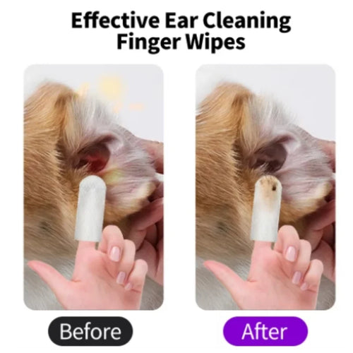 Lingettes nettoyantes pour oreilles d'animaux à l'aloe vera, pour chiens et chats, avec gants de nettoyage, lingettes douces pour un nettoyage facile des oreilles, hygiène quotidienne et toilettage