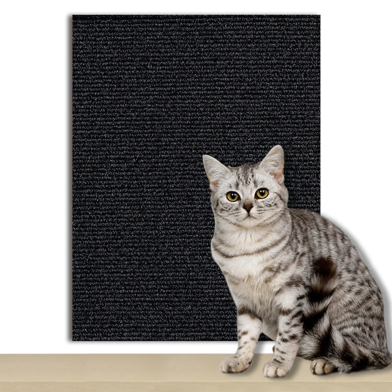 Tapis de protection contre les rayures pour canapé et chat, 8 tailles, grattoir à gratter pour arbre à chat, griffe, protection de canapé, meubles de maison pour animaux de compagnie