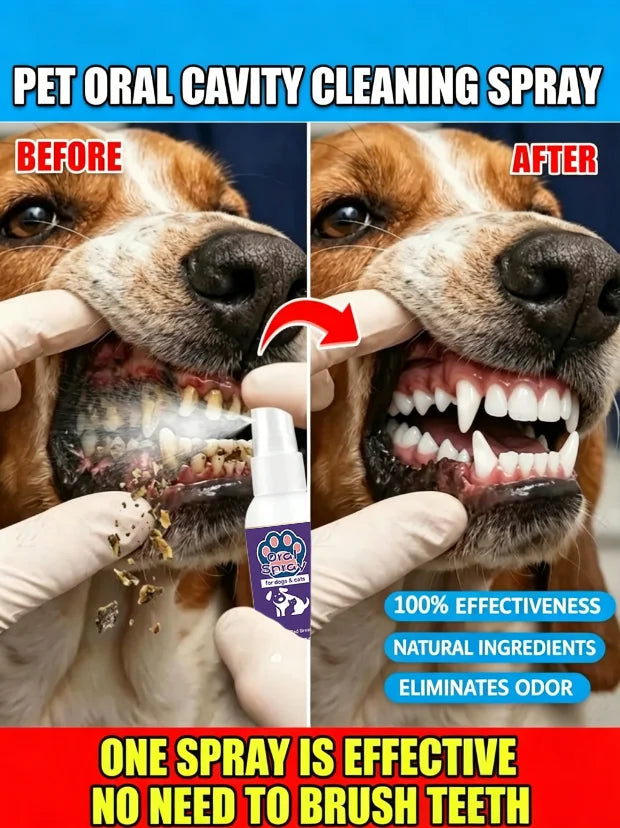 Un seul vaporisateur transforme l'haleine de votre chien de « risque biologique » en « paradis mentholé » – Pas de brosse, pas de larmes, juste des baisers joyeux.