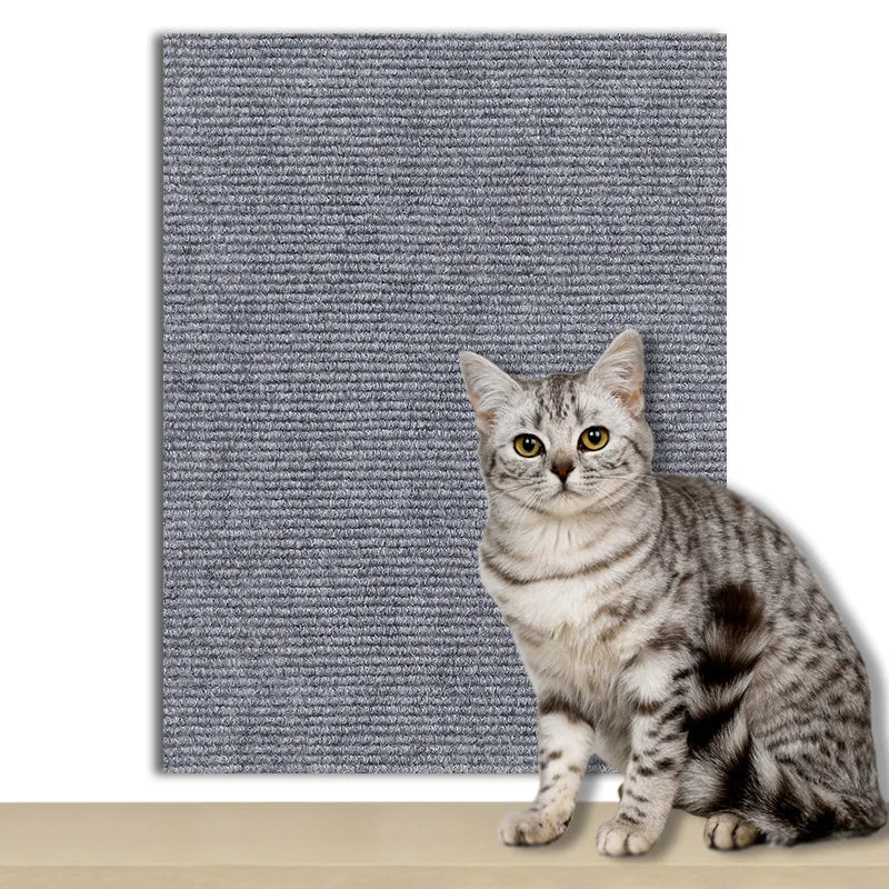 Tapis de protection contre les rayures pour canapé et chat, 8 tailles, grattoir à gratter pour arbre à chat, griffe, protection de canapé, meubles de maison pour animaux de compagnie