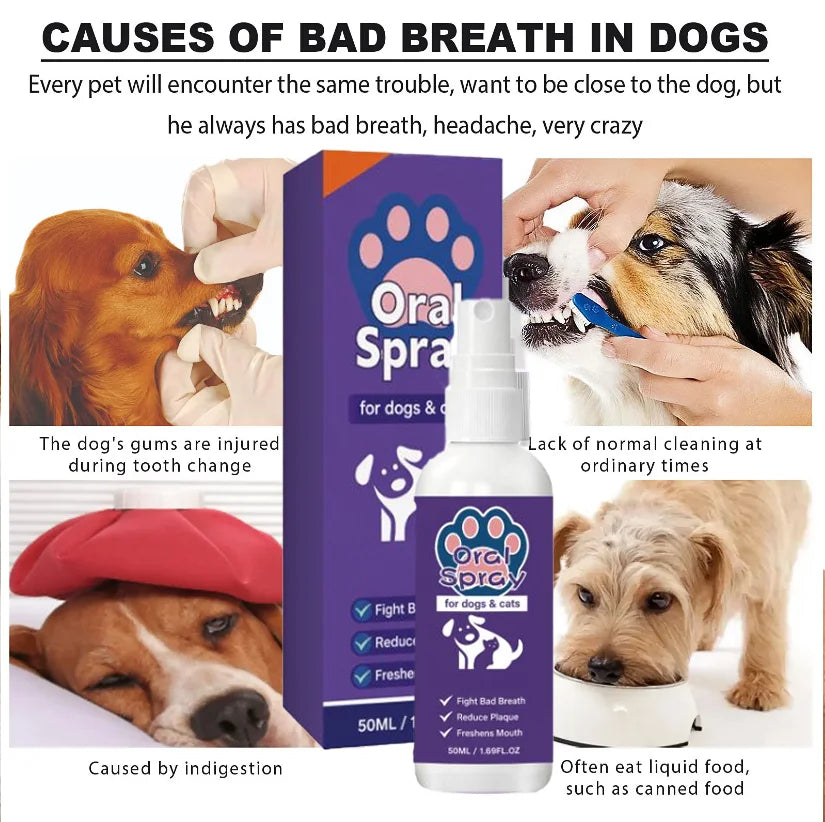 Un seul vaporisateur transforme l'haleine de votre chien de « risque biologique » en « paradis mentholé » – Pas de brosse, pas de larmes, juste des baisers joyeux.