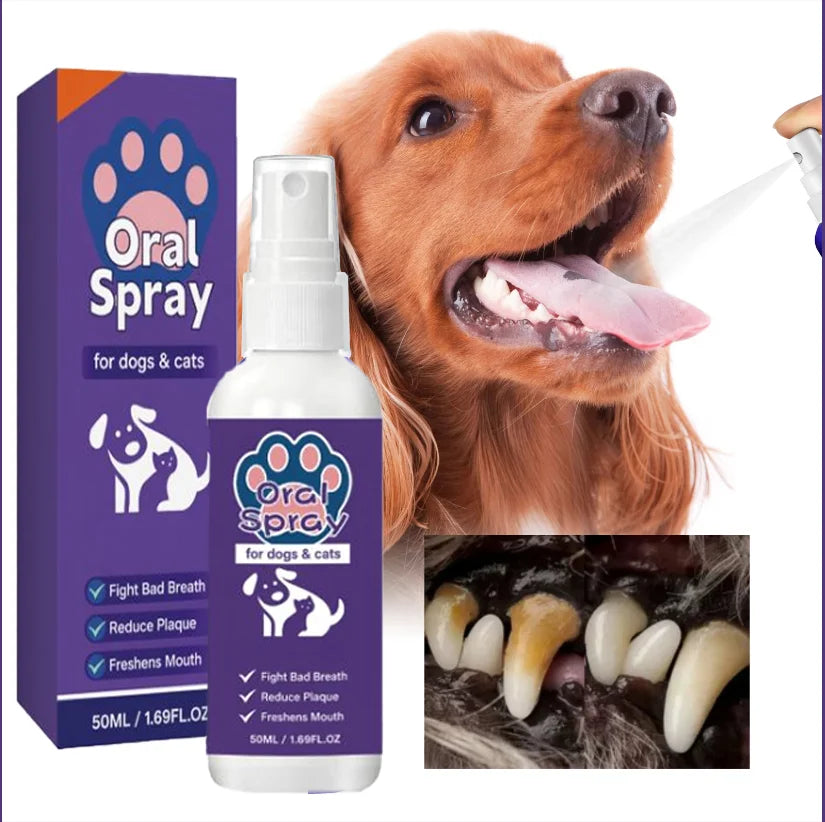 Un seul vaporisateur transforme l'haleine de votre chien de « risque biologique » en « paradis mentholé » – Pas de brosse, pas de larmes, juste des baisers joyeux.
